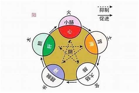 八字五行屬性|生辰八字查询，生辰八字五行查询，五行属性查询